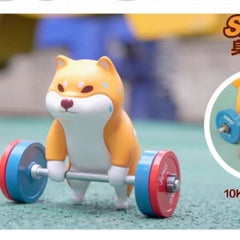 dog-Shiba Inu